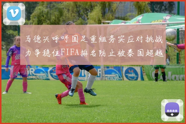 马德兴呼吁国足重组务实应对挑战力争稳住FIFA排名防止被泰国超越