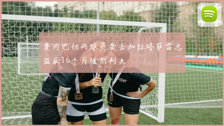 费内巴切两球员袭击加拉塔萨雷总监获16个月缓刑判决